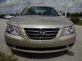 Camel Pearl - Sonata GLS Photo No. 13