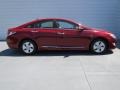 Venetian Red Pearl - Sonata Hybrid Photo No. 2
