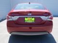 Venetian Red Pearl - Sonata Hybrid Photo No. 4