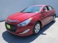 Venetian Red Pearl - Sonata Hybrid Photo No. 6