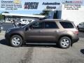 Medium Brown Metallic - Acadia SLE Photo No. 1