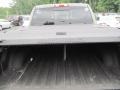 Sagebrush Pearl - Ram 2500 HD Laramie Mega Cab 4x4 Photo No. 5