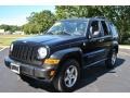 Black Clearcoat - Liberty Renegade 4x4 Photo No. 1