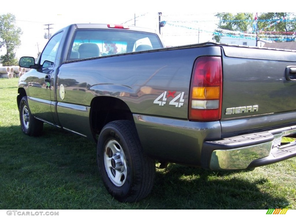 2002 Sierra 1500 Regular Cab 4x4 - Storm Gray Metallic / Graphite photo #5