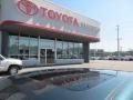 Aspen Green Pearl - Camry XLE Photo No. 5