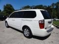 2006 White Kia Sedona LX  photo #8