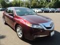 2010 Basque Red Pearl Acura TL 3.5  photo #32