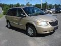 2001 Champagne Pearl Chrysler Voyager LX  photo #7