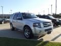 2010 Ingot Silver Metallic Ford Expedition Limited  photo #2