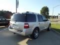 2010 Ingot Silver Metallic Ford Expedition Limited  photo #3