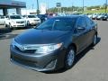 Magnetic Gray Metallic - Camry LE Photo No. 7