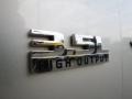 Bright Silver Metallic - Charger SXT Photo No. 13