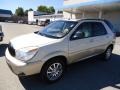 2005 Frost White Buick Rendezvous CX AWD  photo #7