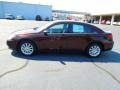 Deep Auburn Pearl - 200 Touring Sedan Photo No. 3