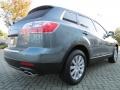 Dolphin Gray Mica - CX-9 Touring Photo No. 5