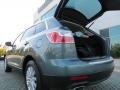 2010 Dolphin Gray Mica Mazda CX-9 Touring  photo #18