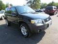 2006 Black Ford Escape Hybrid  photo #3