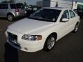 Ice White - S60 2.5T AWD Photo No. 10