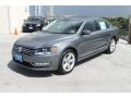 Platinum Gray Metallic - Passat TDI SEL Photo No. 3