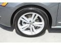 Platinum Gray Metallic - Passat TDI SEL Photo No. 4