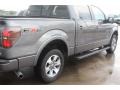 Sterling Grey Metallic - F150 FX2 SuperCrew Photo No. 5