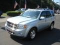 2009 Light Ice Blue Metallic Ford Escape Hybrid Limited 4WD  photo #4
