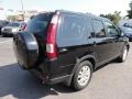 2005 Nighthawk Black Pearl Honda CR-V Special Edition 4WD  photo #6