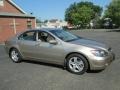 Desert Mist Metallic - RL 3.5 AWD Sedan Photo No. 10