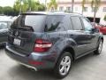 2010 Steel Grey Metallic Mercedes-Benz ML 350  photo #2