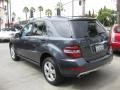 2010 Steel Grey Metallic Mercedes-Benz ML 350  photo #7