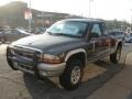 Graphite Metallic - Dakota SLT Club Cab 4x4 Photo No. 4