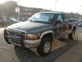 2002 Graphite Metallic Dodge Dakota SLT Club Cab 4x4  photo #4