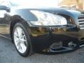 Super Black - Maxima 3.5 SV Premium Photo No. 17