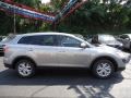 Liquid Silver Meatllic - CX-9 Touring AWD Photo No. 5