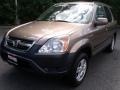 2002 Mojave Mist Metallic Honda CR-V EX 4WD  photo #1