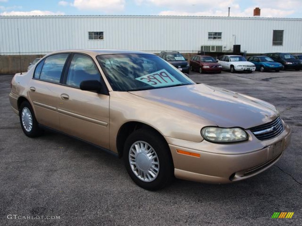 2004 Classic  - Light Driftwood Metallic / Beige photo #2