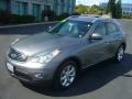 2009 Platinum Graphite Infiniti EX 35 Journey  photo #3