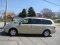 2008 Sunset Gold Metallic Kia Sedona LX  photo #5