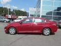 Venetian Red Pearl - Sonata Hybrid Photo No. 2
