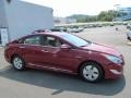 Venetian Red Pearl - Sonata Hybrid Photo No. 3