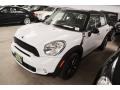 Light White - Cooper S Countryman Photo No. 9
