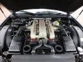 2000 Ferrari 550 5.5 Liter DOHC 48-Valve V12 Engine Photo