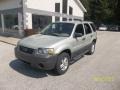 2005 Gold Ash Metallic Ford Escape XLS 4WD  photo #1