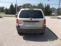 2005 Gold Ash Metallic Ford Escape XLS 4WD  photo #6