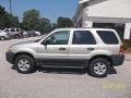 2005 Gold Ash Metallic Ford Escape XLS 4WD  photo #8