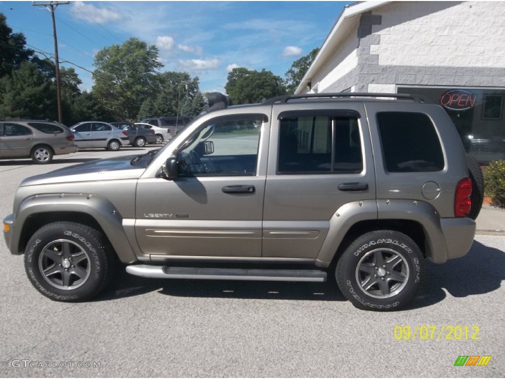 2002 Liberty Renegade 4x4 - Woodland Brown Satin Glow / Dark Slate Gray photo #8