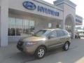 Natural Khaki Green - Santa Fe GLS Photo No. 1