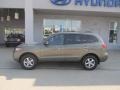 Natural Khaki Green - Santa Fe GLS Photo No. 3
