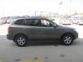 Natural Khaki Green - Santa Fe GLS Photo No. 7