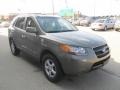 Natural Khaki Green - Santa Fe GLS Photo No. 8